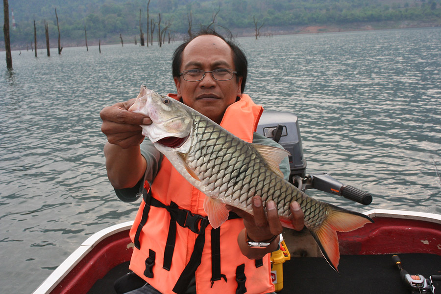 น้านัท....ถ่ายรูปเสร็จ.............ส่งเหยื่อไป....ได้ตัวนี้มา.... :spineyes: :spineyes: :spineyes: :