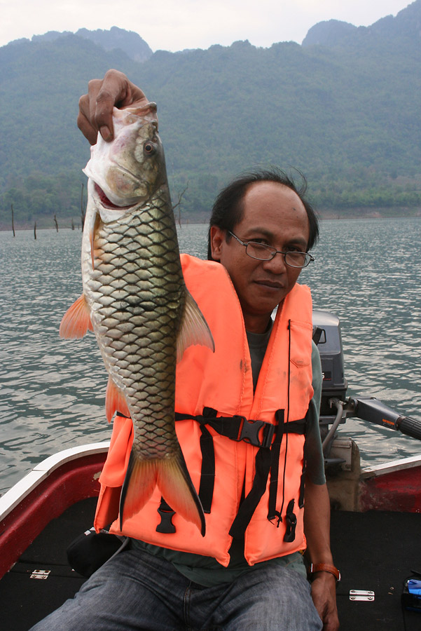 กะโดยสายตา....2.8 โล.... :grin: :grin: :grin: :grin: :umh: :umh: :umh:
...


ลุงหมวกไปไหน...ลุง.