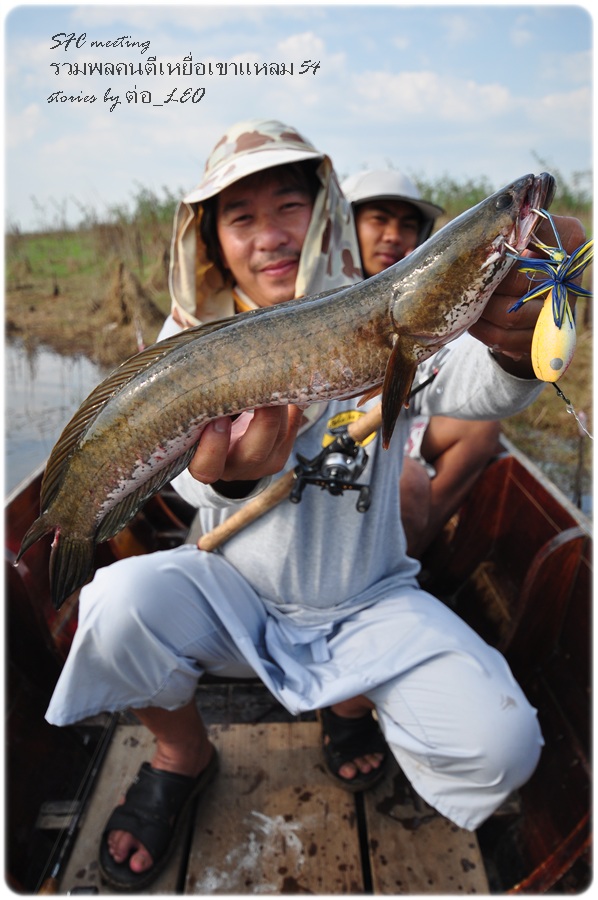 

 [b]ในเวลาไม่นาน เป้าหมายแรกของเราก