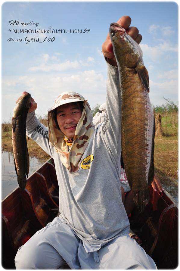 +++ Sadyai Go On เรื่องเล่าจากงานรวมพลเขาแหลม 54 [stories by ต่อ_LEO] +++ 