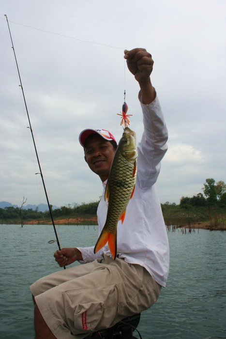 ขนาดเปลี่ยนไปใช้กบ ตีริมฝั่งหาปลาช