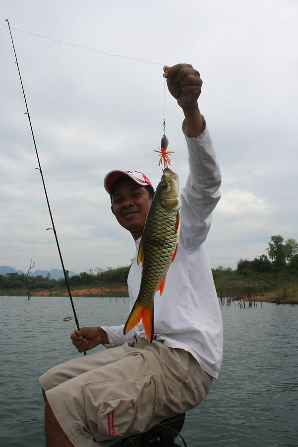 มาอีกตัว......โดย อ้นบ้านแนบ.....ส่งเข้าประกวด.... :cheer: :cheer: :cheer: :cheer: :cheer: :umh: :um