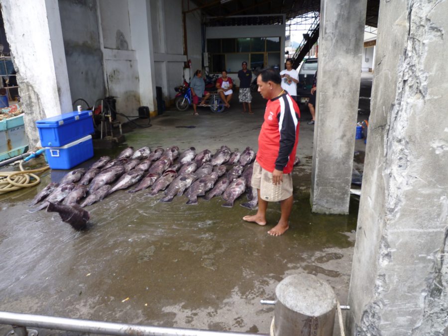 เข้าฝั่งมาที่ท่าเรือเลยและกัน