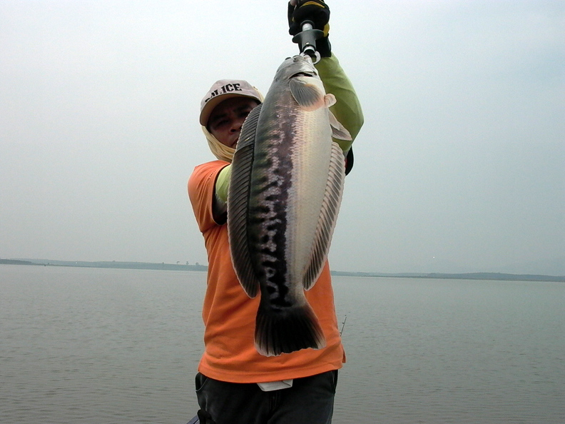 [q][i]อ้างถึง: BIG+FISH posted: 29-03-2554, 19:24:00[/i]

 :cheer: :cheer: :cheer:[/q]
สวัสดีครับ