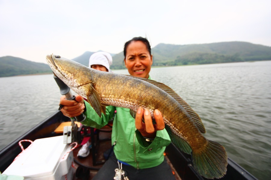 Adventure Fishing Chapter/1- ตอน ลมหนาวสุดท้ายที่มากับสายฝน