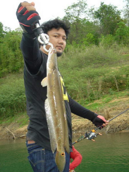 ปลาน้าคมเนตรครับเป็นไอ้ล่อนอีกแล้วครับ.... :grin: :grin: :grin: