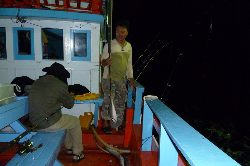 เป็นน้องสร้อยครับแต่ตัวใหญ่เอาเรื