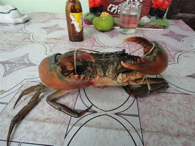 8 ขีด 