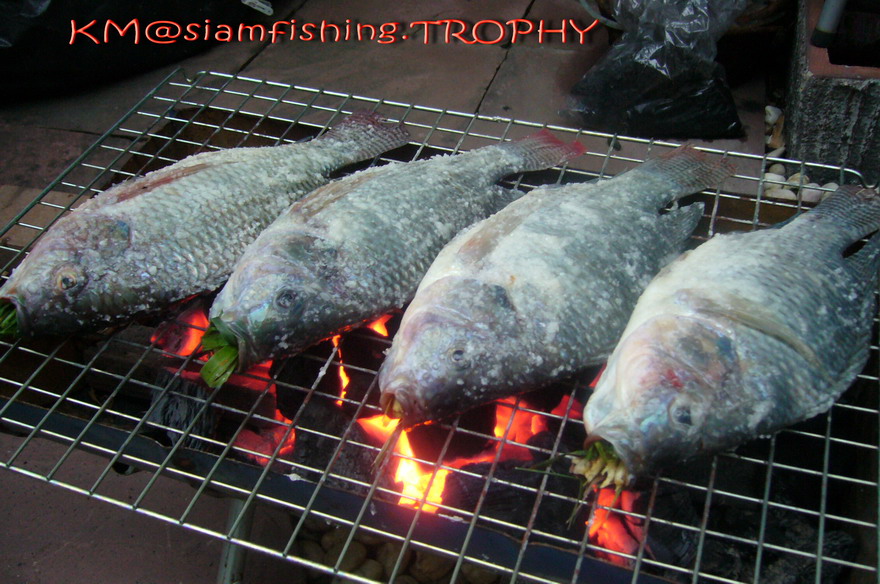 ยังจบไม่ได้คับ ถ้าไม่ผ่านการแปรรูปเสียก่อน เรียนจบfoodมาทั้งทีคับ  :grin: :grin: :grin: