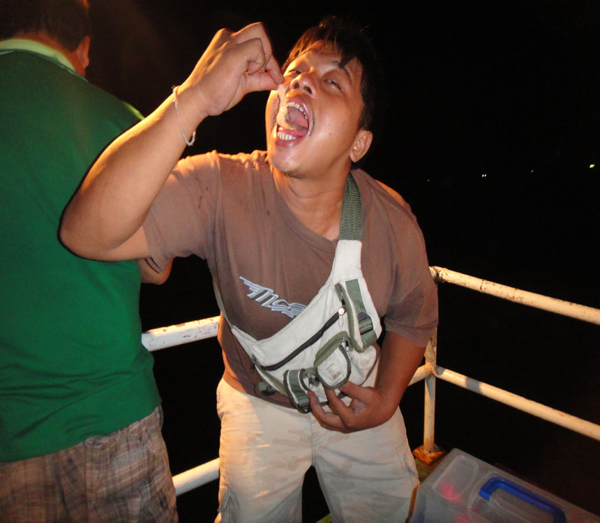 ไอ้ นี้ อีก ตัว ตัวกิน หมึก เป็นๆๆ
 :laughi
