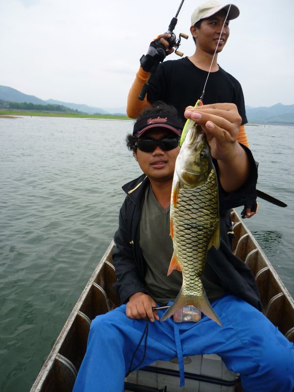  [b]พี่ท็อป:เอาวะตกไม่ได้ยืมถ่ายซะเลยง่ายดี กร๊าก ๆ ๆ ๆ[/b] :grin: :grin: :grin: