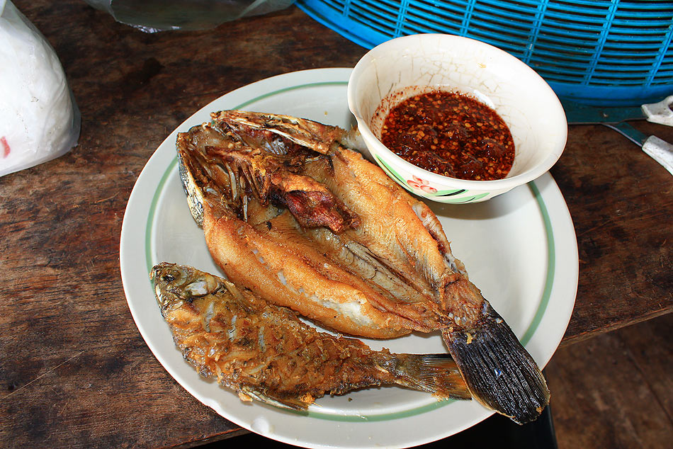 
 [b]ปลาที่ตกได้ ก้เอามาทำอาหารกินกัน