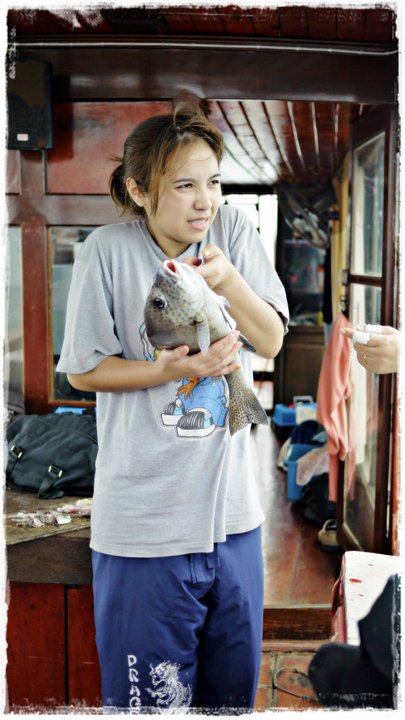 เพราะเขาให้เอามือแหย่เข้าไปในเหงือก แต่ด้วยความโง่ (หรือพูดเพราะๆ ว่าไร้เดียงสา) 
เอาแหย่เข้าไปในแง