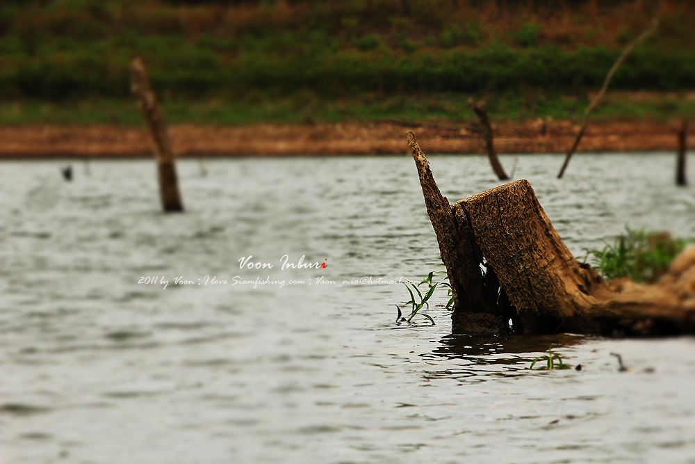  [b]ขับเรือผ่านไปเห็นตอแล้วเสียตรูดดดดดมากแหลมน่ากลัว[/b]