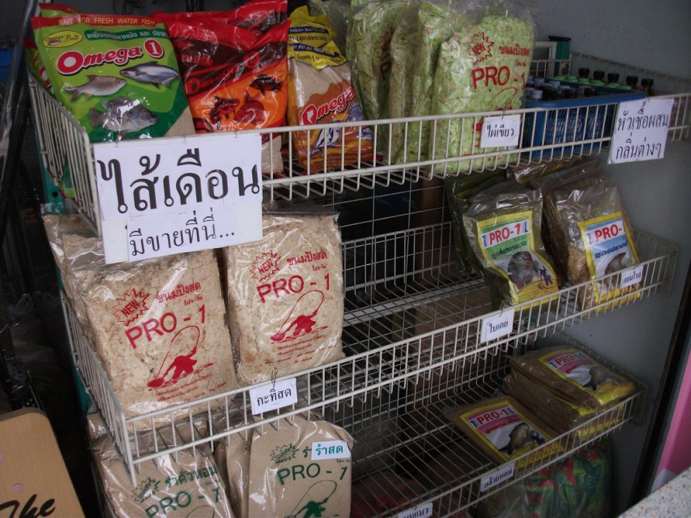 หวัดดีคับน้า 
nynoom938 ตามชมต่อเลยนะคับ 