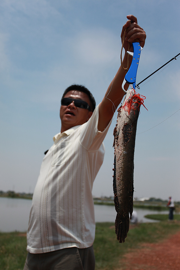 ปลาช่อนกินบัสเบสฝีมือน้ายศ หล่อจริ