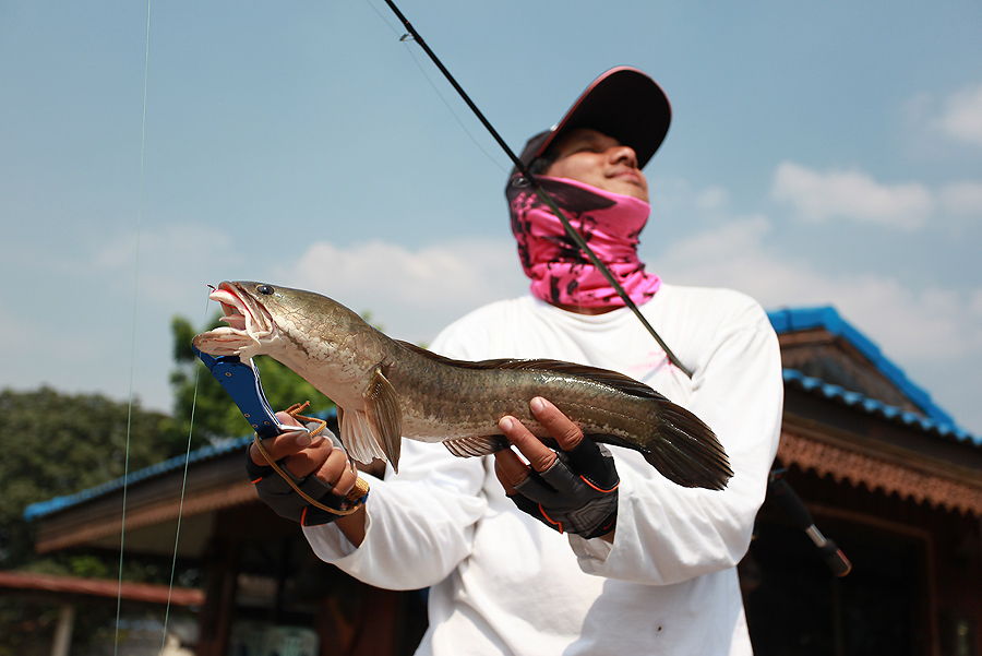 หน้าตามีความสุข  เหมือนได้จับอะไรซ