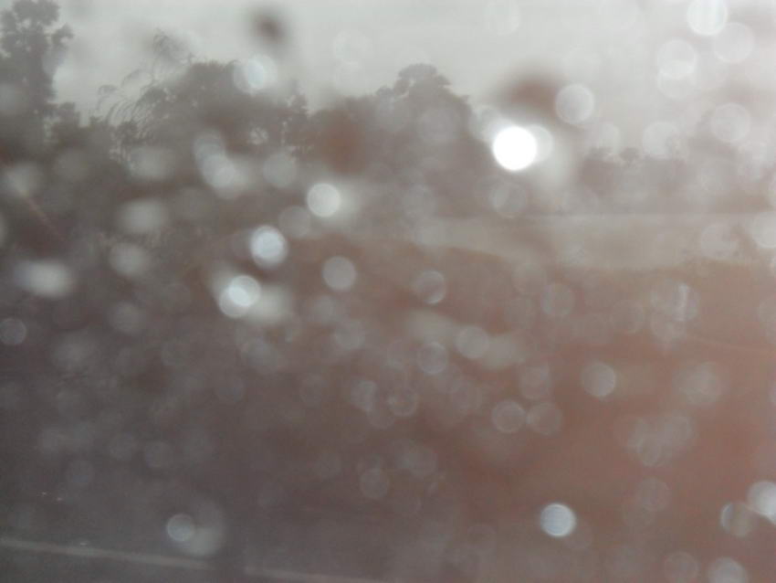 อีกแป๊บเดียวต่อมา ฝนตกหนักมากครับ  :spineyes: :spineyes: