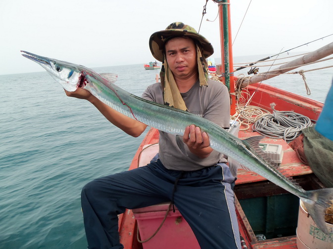 ******* จิ๊กกิ้ง กลางวันทะเลชุมพร****  day time chumphon fish