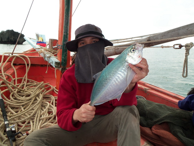 สีกุนเกาะ