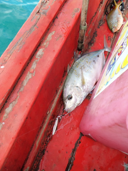 ตะคองเหลือง
