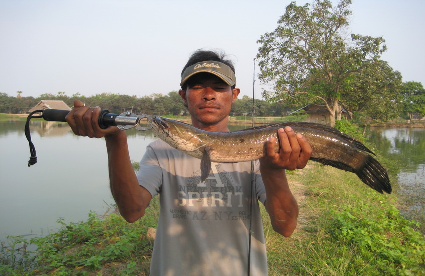 ดูมันทำ หน้าตาเย็นชามากเหมือนไม่มี