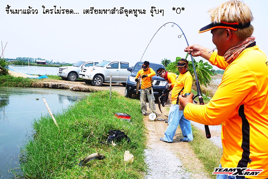 [q][i]อ้างถึง: gio posted: 04-04-2554, 13:26:13[/i]

หวัดดีน้าหมู เดี๋ยวจะไปจัดหนักกับเบิร์ด :grin