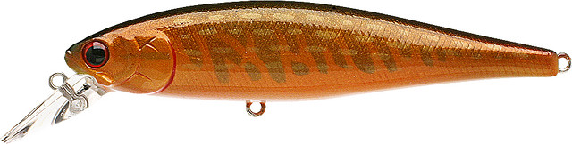 Red Musky

Pt100-815rmsk