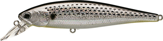 Spotted Shad

Pt100-804spsd
