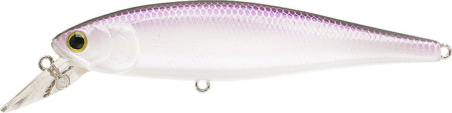 Lavender Shad

Pt100-294lvsd
