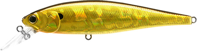 Aurora Gold

Pt100-256ago

