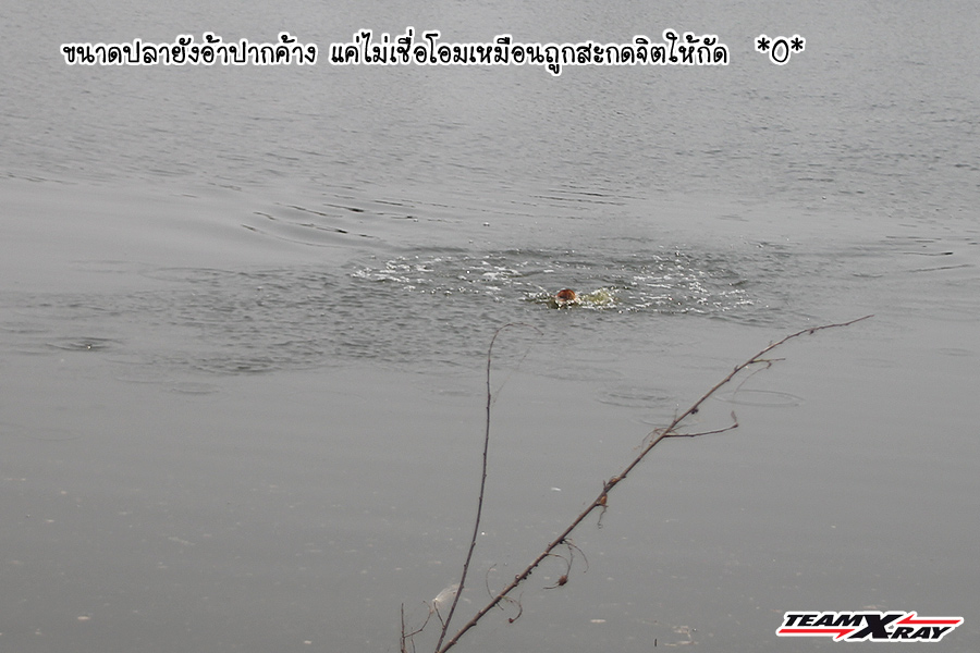[q][i]อ้างถึง: nongpuinarak posted: 04-04-2554, 21:17:16[/i]

เช๊อะ!!! ไม่มีชวน  :angry: :angry: :