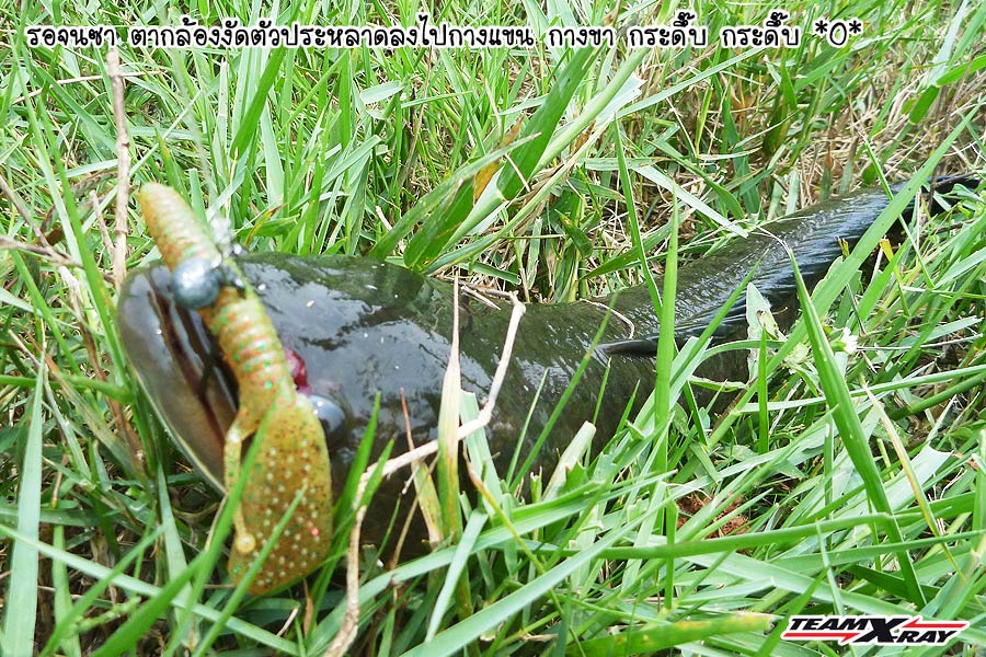 [q][i]อ้างถึง: ballycb3 posted: 04-04-2554, 22:59:12[/i]

 :laughing: :laughing: :laughing: :laugh