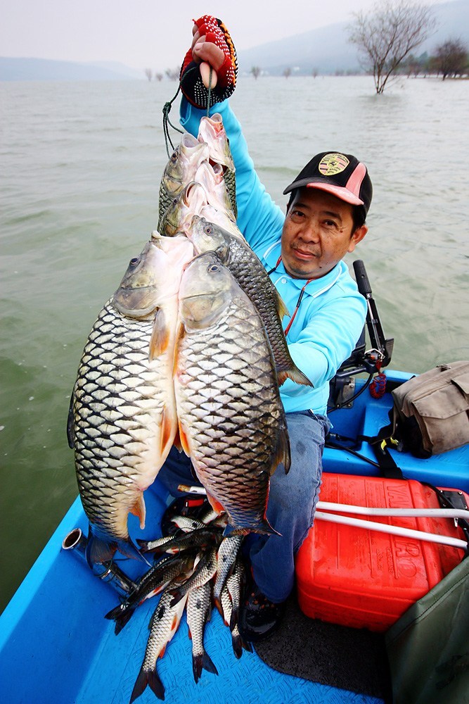 โชคดีครับ วันนี้เราเจอกระสูบขีดตั้