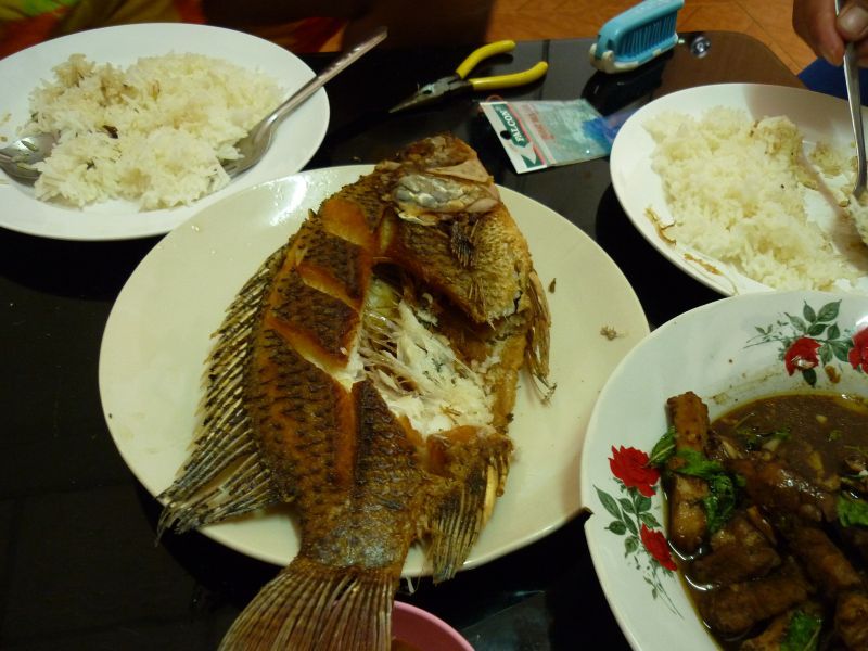 [q][i]อ้างถึง: สุขสำราญ posted: 01-04-2554, 19:00:41[/i]

++++......
