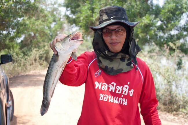 มีโดด้วย :cheer: :cheer: :cheer: :cheer: