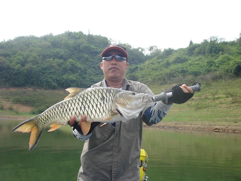 น้ากุ้งของเดี่ยวครับ :grin: :cool: