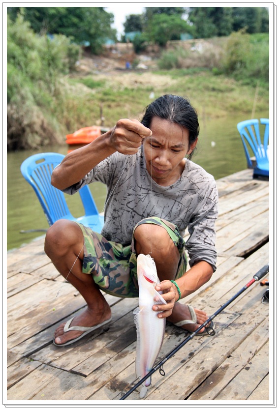 ส่วนผมนั่งตกปลาไป  ถ่ายรูปไป  นั่งชมวิวไป ครับ  :love:   น้าดื้อ  กำลังปลดตัวเบ็ด