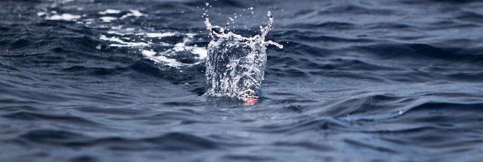 [q][i]อ้างถึง: fishingjoke posted: 06-04-2554, 03:41:36[/i]

++++ครับ :cheer: :cheer: :cheer: :che