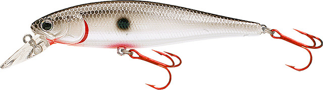 Bloody Old Tennessee Shad

Pt100-101botsd
