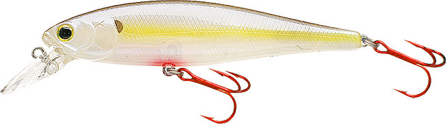 และตัวสุดท้าย....หมดแล้วครับ ^^



Bloody Chartreuse Shad

Pt100-104bcrsd
