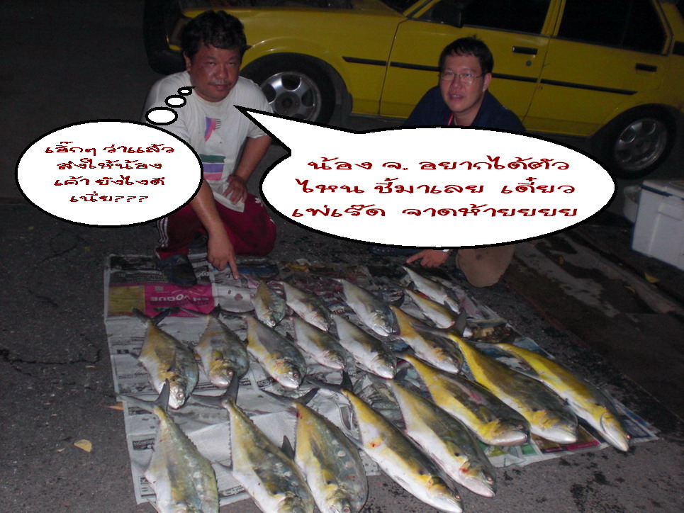 [q][i]อ้างถึง: noojam posted: 08-04-2554, 12:38:12[/i]

 [b]ปลาไม่เคยมาถึงเชียงใหม่เลย สงสัยโดนหิ้