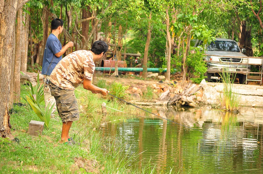 [q][i]อ้างถึง: โต๊ดซะงั้น!+_+! posted: 08-04-2554, 19:10:23[/i]

