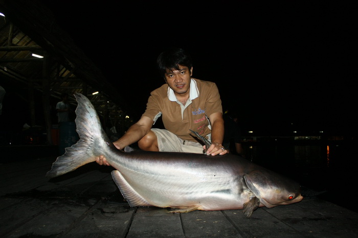 [q][i]อ้างถึง: NATTAUK posted: 08-04-2554, 20:40:32[/i]


     :grin: :grin:  น