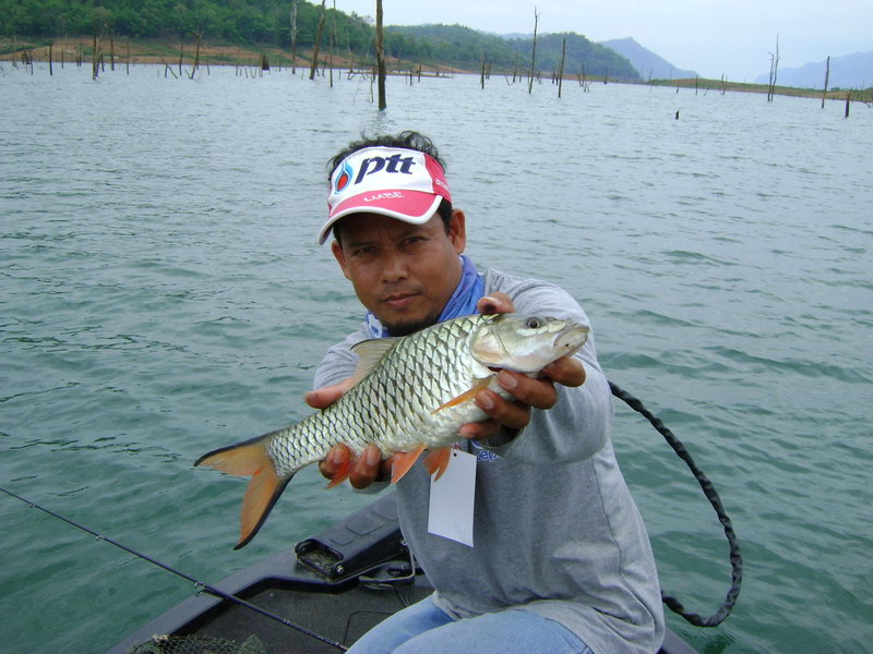  ผลงานของ Damiki  :love: