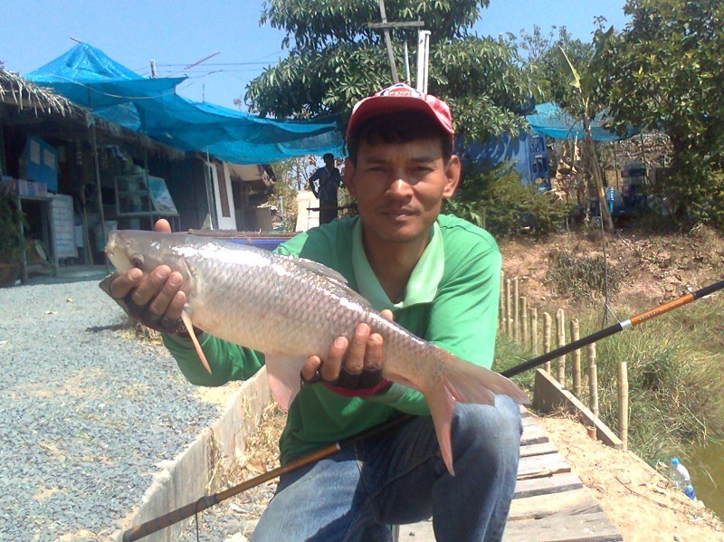 [q][i]อ้างถึง: fishingjoke posted: 09-04-2554, 15:27:45[/i]

+++++สวัสดีครับ  :cheer: :cheer: :che