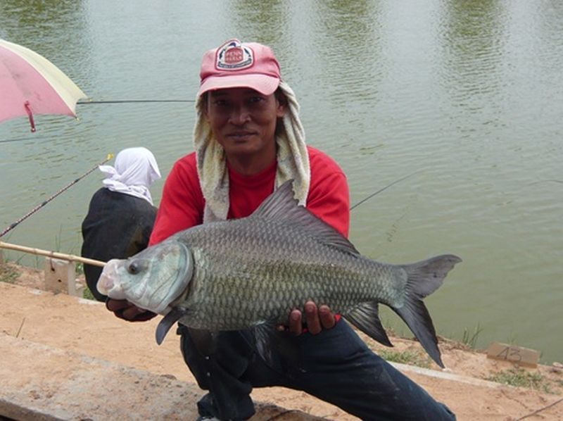 [q][i]อ้างถึง: Trophy posted: 09-04-2554, 23:43:05[/i]

รอตั้งนาน