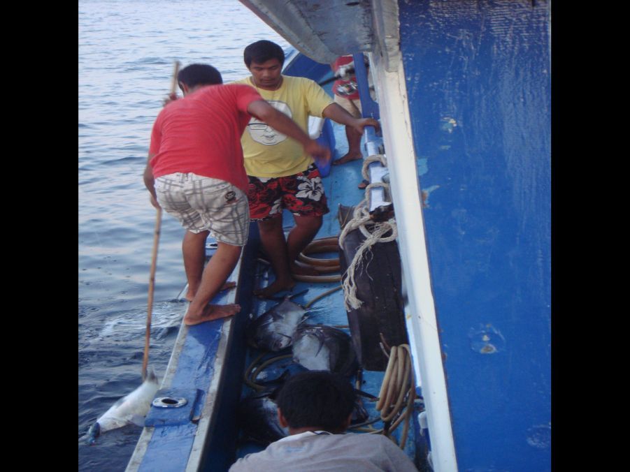 เด็กเรือทำงานอย่างเหน็ดเหนื่อย