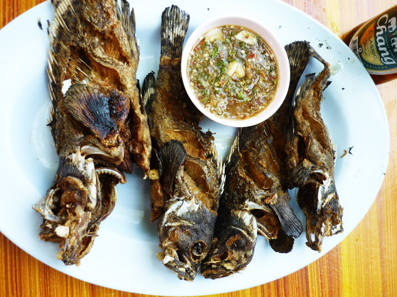 มากินเก๋าที่ใด้มาดีกว่า อร่อยยยยยยยยยยยยยยยยยยยยยยยแน่ :cheer: :cheer: :cheer: