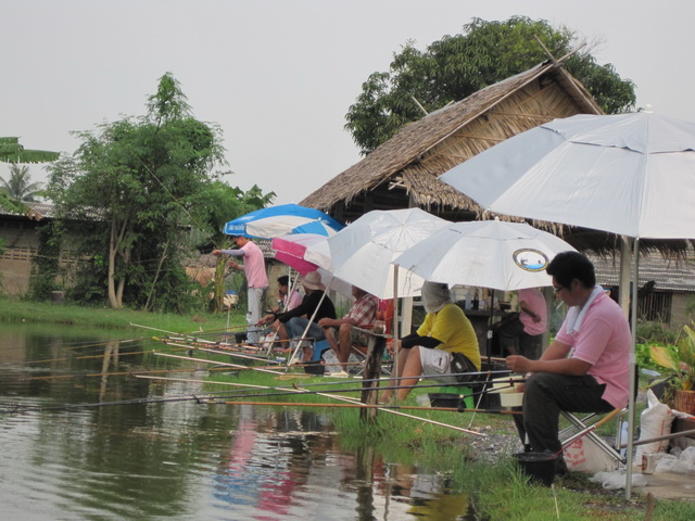 น้าต่อทำไมไม่กินเรา :cool: :cool: :cool:
